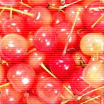 Cherries