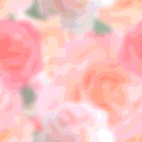 �K�N�@�ǎ�