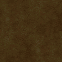 �o�b�N�X�L��