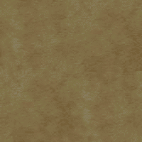 �o�b�N�X�L��