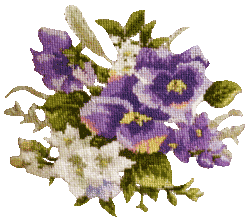 �p���W�[�@�h�J