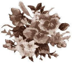 �v�`�|�A��