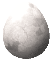 egg