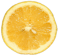 �O���[�v�t���[�c