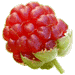 Raspberry 
