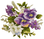 �v�`�|�A��