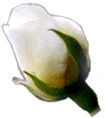 �o�����Q