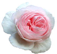 �w���e�[�W