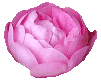 ���[�u���b�^�[