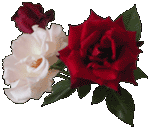 �o���J���[��