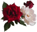 �o���J���[��