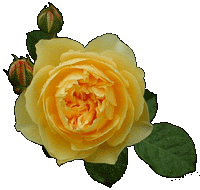 �O���n���E�g�[�}�X